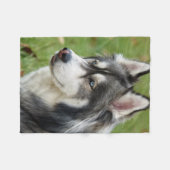 Couverture Polaire Husky (Devant (Horizontal))