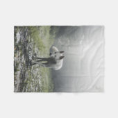 Couverture Polaire Husky Sibérien Blanc (Devant (Horizontal))