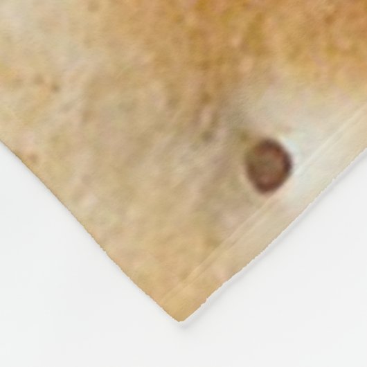 COUVERTURE POLAIRE I LUV CRACKERS (Coin)