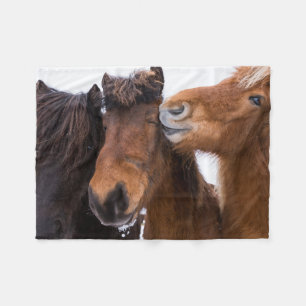 Couverture Polaire Icelandic Horse Friends, Iceland