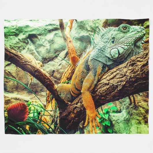 Couverture Polaire Iguana (Devant (Horizontal))