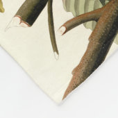 Couverture Polaire Illustration Audubon American Robin Wildlife Bird (Coin)