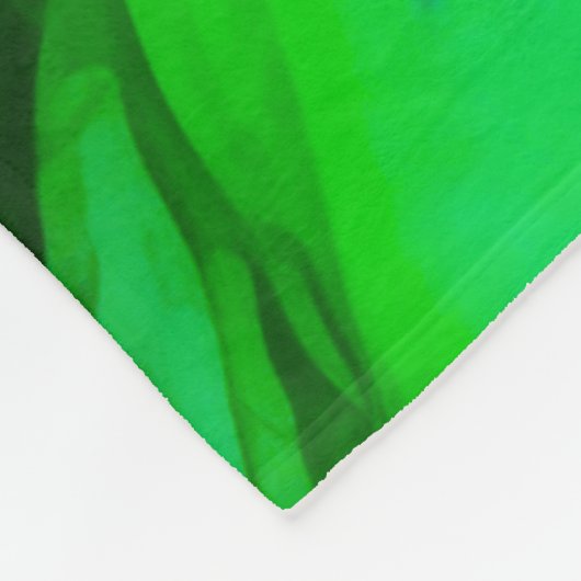 Couverture Polaire Introduction (Coin)