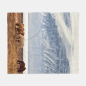 COUVERTURE POLAIRE ISLANDE (Devant (Horizontal))