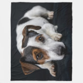 COUVERTURE POLAIRE JACK RUSSEL TERRIER (Devant)