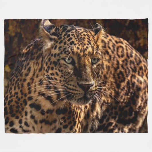 COUVERTURE POLAIRE JAGUAR (Devant (Horizontal))