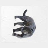 Couverture polaire Jaguar Diablo (Devant (Horizontal))