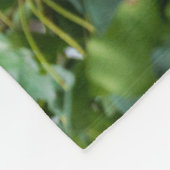 Couverture Polaire Jaguar Growl (Coin)