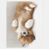 COUVERTURE POLAIRE J'AI ÉTÉ DÉPOSÉ (Devant)