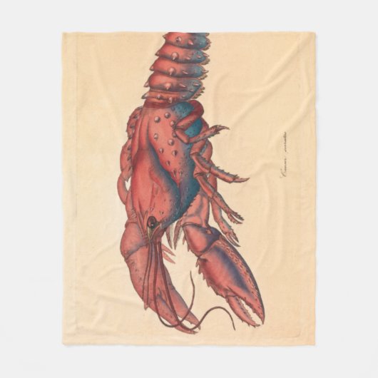Couverture Polaire James Sowerby Homard serbé (Devant)