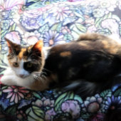 Couverture Polaire Jardin de fées Jardinage Jardins de fleurs Fées   