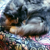 Couverture Polaire Jardin de fées Jardinage Jardins de fleurs Fées   