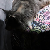 Couverture Polaire Jardin des fées