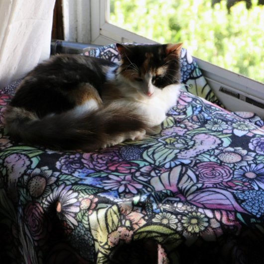 Couverture Polaire Jardin des fées