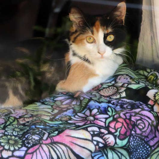 Couverture Polaire Jardin des fées