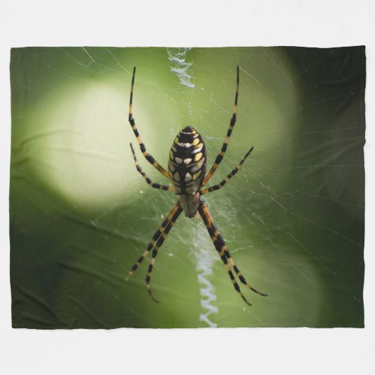 Couverture Polaire Jardin d'or photographie d'araignée Fleece Blanket (Devant (Horizontal))