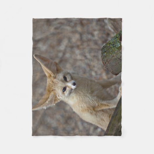 Couverture Polaire Je suis All Ears Fleece Blanket (Devant)