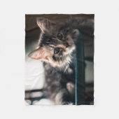 Couverture Polaire Jeune chat tigré masculin 2 (Devant)