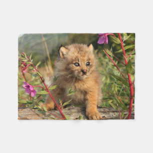 Couverture Polaire Jeune Lynx du Canada, Alaska