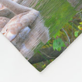 Couverture Polaire Jeunes cygnes (Coin)