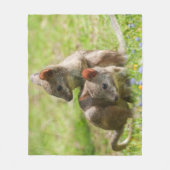 Couverture Polaire Joey Wallabies sous le soleil (Devant)