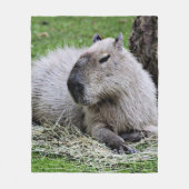 Couverture Polaire Joli capybara (Devant)