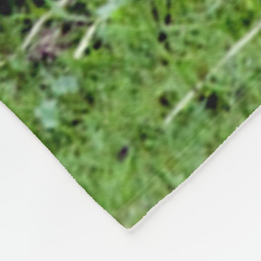 Couverture Polaire Joli capybara (Coin)