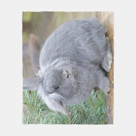 Couverture Polaire Joli lapin gris (Devant)