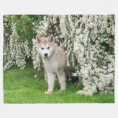 Couverture Polaire Jolie chiot de chien malamué de l'Alaska en fleurs (Devant (Horizontal))