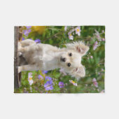 Couverture Polaire Jolie photo Chihuahua Chig Chippy aux cheveux long (Devant (Horizontal))