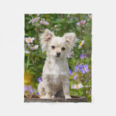 Couverture Polaire Jolie photo Chihuahua Chig Chippy aux cheveux long (Devant)