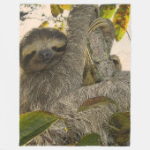 Couverture Polaire Jolie Sloth (Devant)