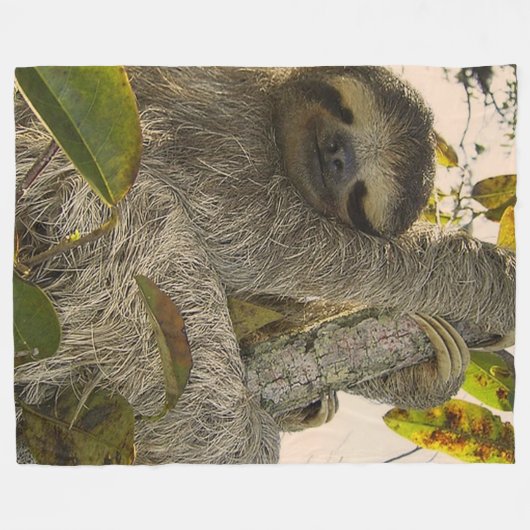 Couverture Polaire Jolie Sloth (Devant (Horizontal))