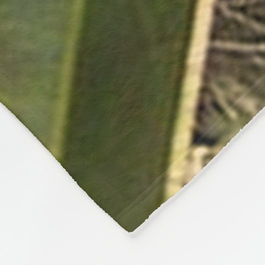 Couverture Polaire Jolie Sloth (Coin)