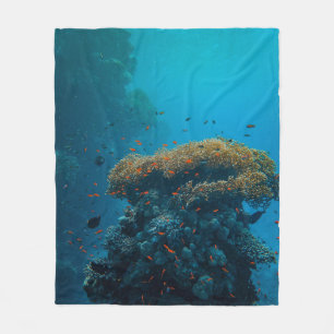 Couverture Polaire Jolies Poissons Et Barrière