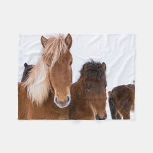 Couverture Polaire Jolis chevaux islandais ensemble