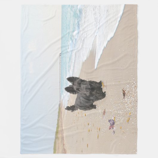 Couverture Polaire Jour de la plage (Devant)