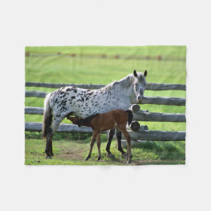 Couverture Polaire Jument Appaloosa et poulain