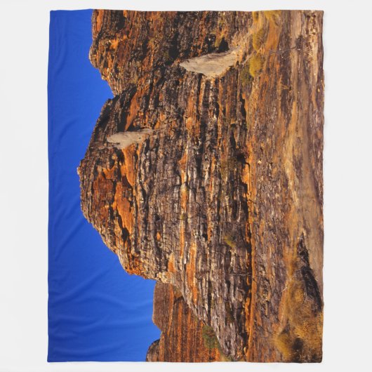 COUVERTURE POLAIRE JURASSIC ROCK (Devant)