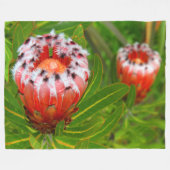 COUVERTURE POLAIRE KARIKARI BLOOM (Devant (Horizontal))