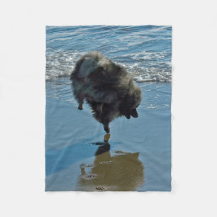 Couverture Polaire Keeshond Ballet Photographie - Joli chien d'origin