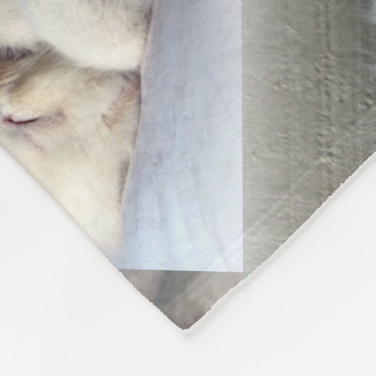 Couverture Polaire Kitten endormi (Coin)