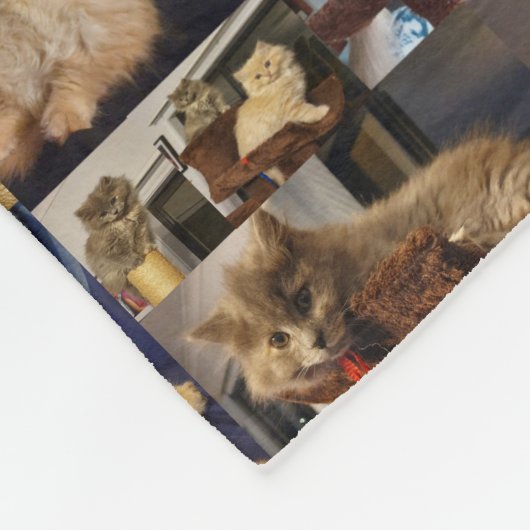 Couverture Polaire Kitten Photo Collage, (Coin)