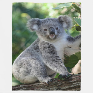 Couverture Polaire Koala australien câlin mignon (vertical) dans le