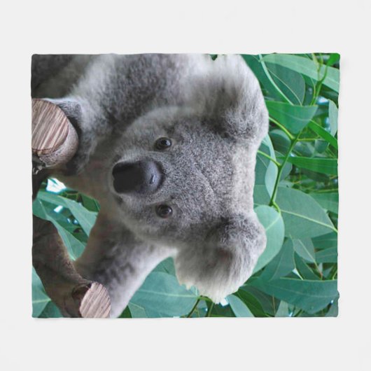 Couverture Polaire Koala et eucalyptus (Devant (Horizontal))