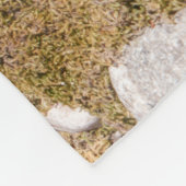 Couverture Polaire La beauté captivante de la rivière Athabasca (Coin)