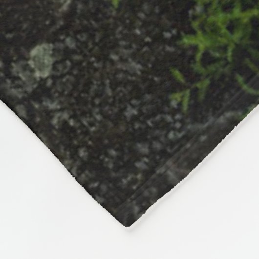 Couverture Polaire La côte du lac Supérieur | Minnesota (Coin)