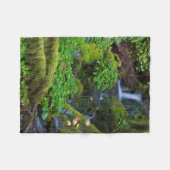 Couverture Polaire La forêt tropicale automautomne | Parc national ol (Devant (Horizontal))