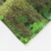 Couverture Polaire La forêt tropicale automautomne | Parc national ol (Coin)