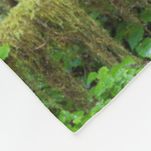 Couverture Polaire La forêt tropicale automautomne | Parc national ol (Coin)